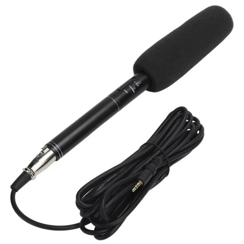 Microphone Interview2