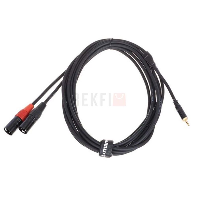 Cable 2 x XLR male 1 x mini Jack